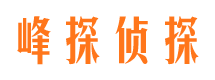 临湘外遇调查取证